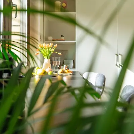 Oasis Riverview - Old Town Apartman *